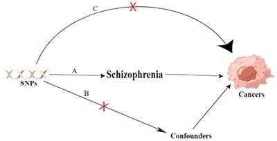 Causal associations between schizophrenia and cancers risk: a Mendelian randomization study